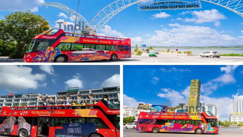 Quảng cáo xe buýt tại Quảng Ninh – Phủ sóng thương hiệu dọc di sản Vịnh Hạ Long Quảng cáo xe buýt Hạ Long - Quảng cáo trên xe bus 2 tầng độc đáo và bắt mắt